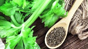 Good Health NZ - celery seed