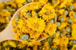 Good Health NZ - calendula