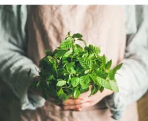 Good Health NZ - peppermint