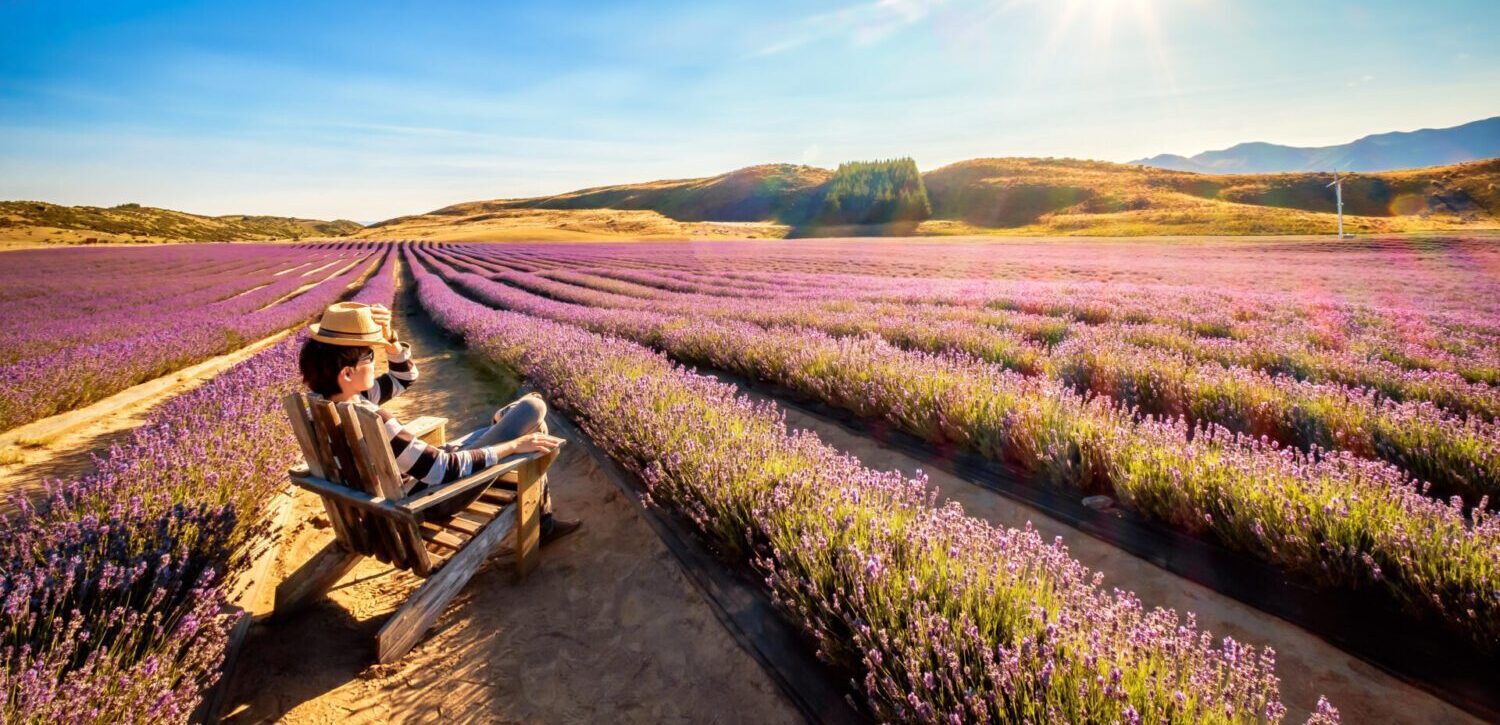  Ashwagandha gummies by Goodhealth