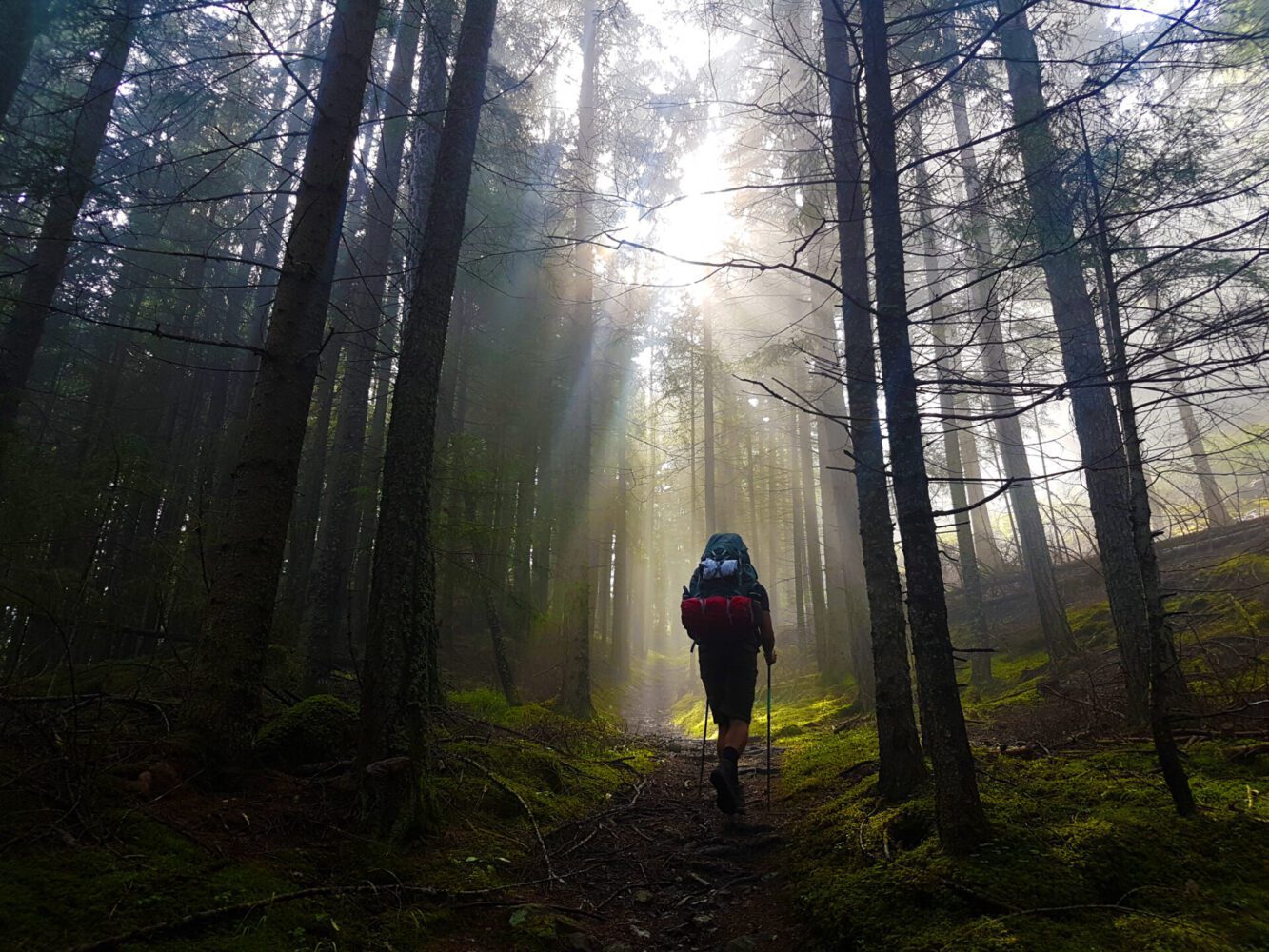 Help Joints Stay Active