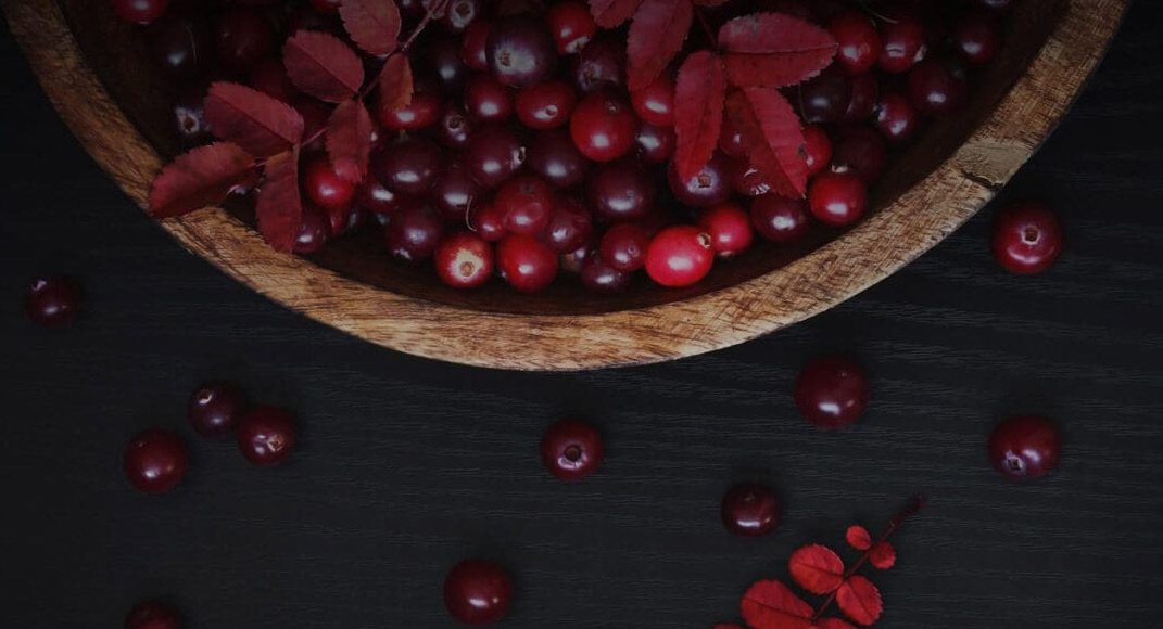 Ferrofix Lipo Iron by Goodhealth