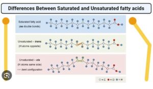 Good Health NZ - Capture FAs