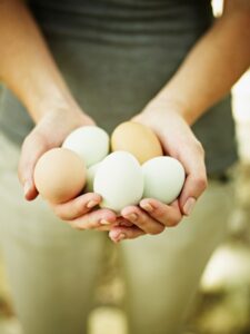 Good Health NZ - eggs