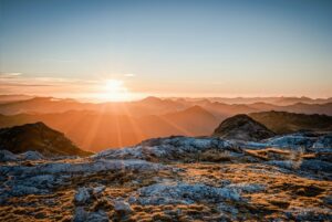Good Health NZ - lockdown 1