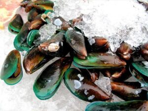How to Support Joint Comfort 4 Good Health NZ - mussels 1