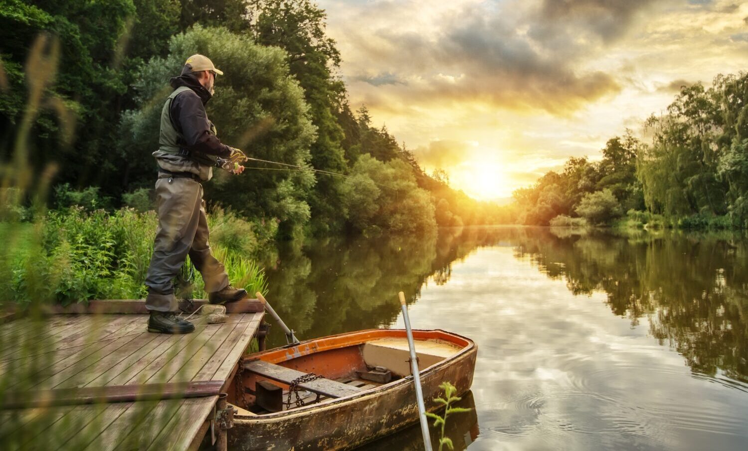  Oyster Pro Oil by Goodhealth